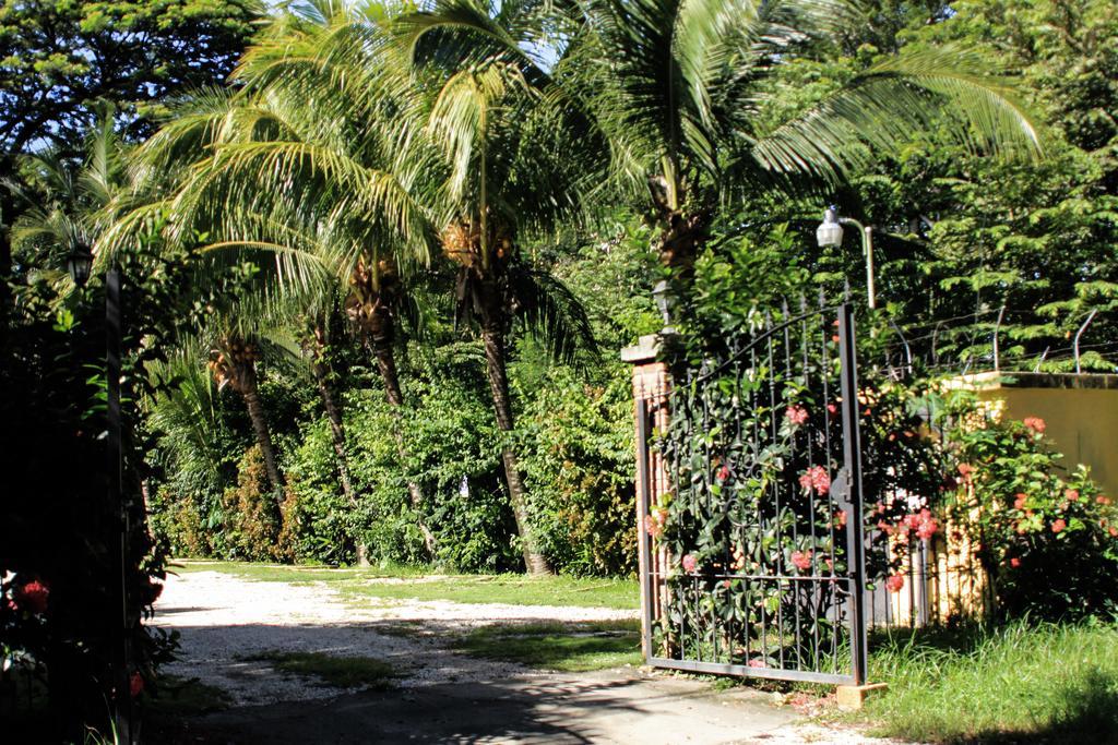 Hotel Isolina Beach Potrero  Bagian luar foto
