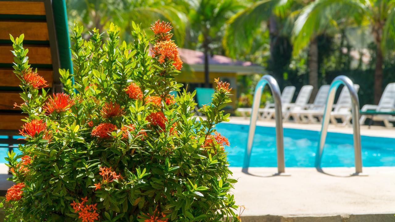 Hotel Isolina Beach Potrero  Bagian luar foto